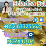 5-Bromo-1-pentene CAS 1119-51-3