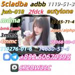 China factory supply Bmk and Pmk low price