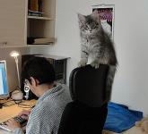 Asistent Tigr�k 