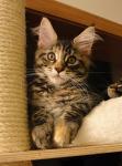  Sle�na Tina