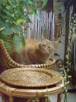  Posed�me si je�t� trochu