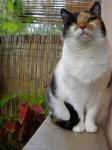  Na zahr�dce
