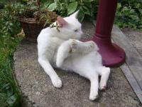 N�jak se mi ty kon�etiny zp�eh�zely