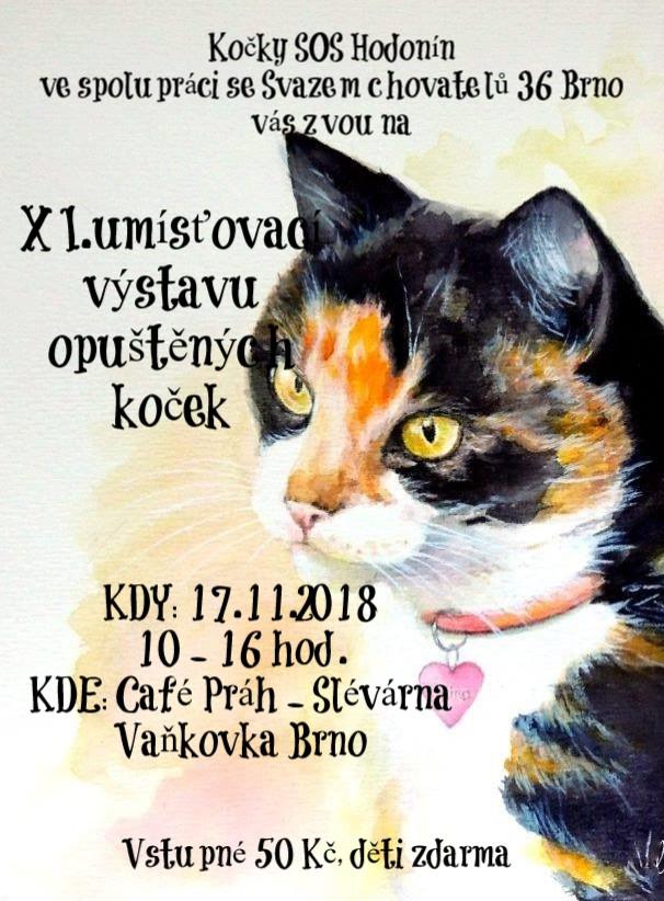 XI. umisovac vstava oputnch koek - 17. listopadu 2018