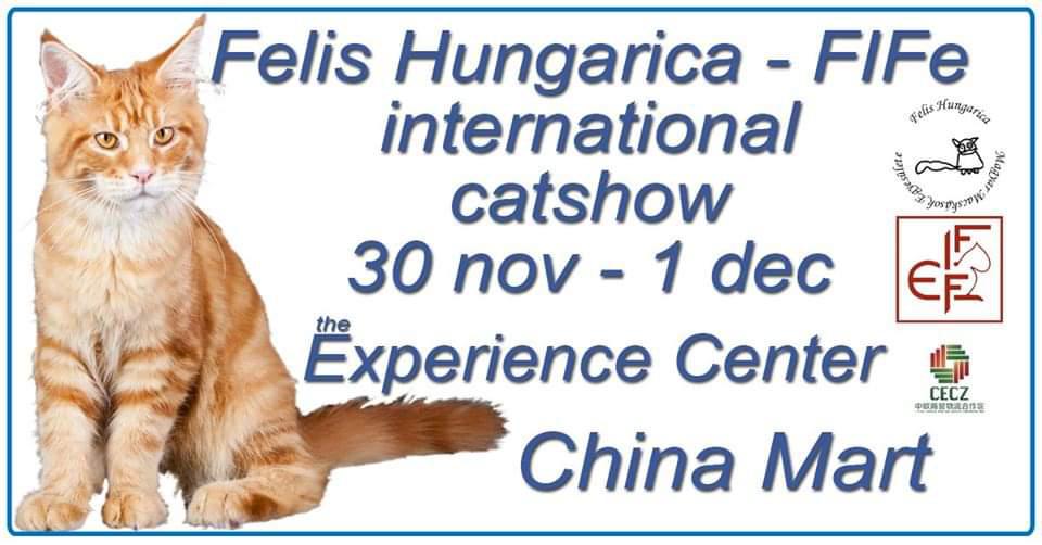 Felis Hungarica - FIFe international catshow - 30. listopadu - 1. prosince 2019