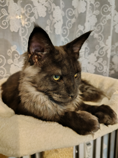 Neville: To jsem j :-)