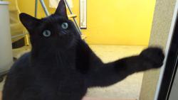 Okamit m pus dom, stran moc se mi chce na zchod.