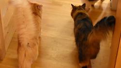 1/3 Uhodnete, kam v�ichni takhle svorn� jdou?