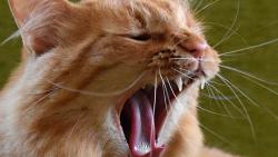 1/2 Zuzano, koukej mě jít umejt, už se mi chce spát.