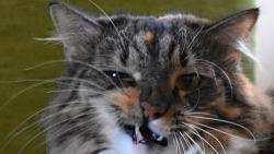 2/2 Se umej sám, drzoune.