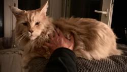 ..noo, to už je lepčí.. přitlááč!!!