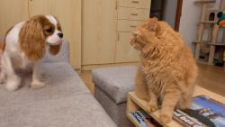 Lottynka si pořád chce se mnou hrát, ale já moc nechci...