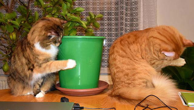 3/3 Zuzanko, j na ni ml ale takovej hlad :-(