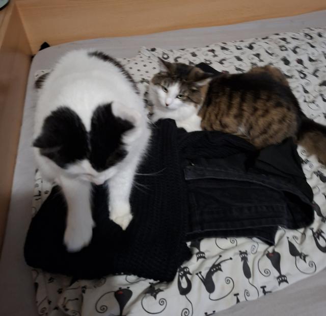 Taky jsme tu dlouho nebyli ... panika se neumla pihlsit.