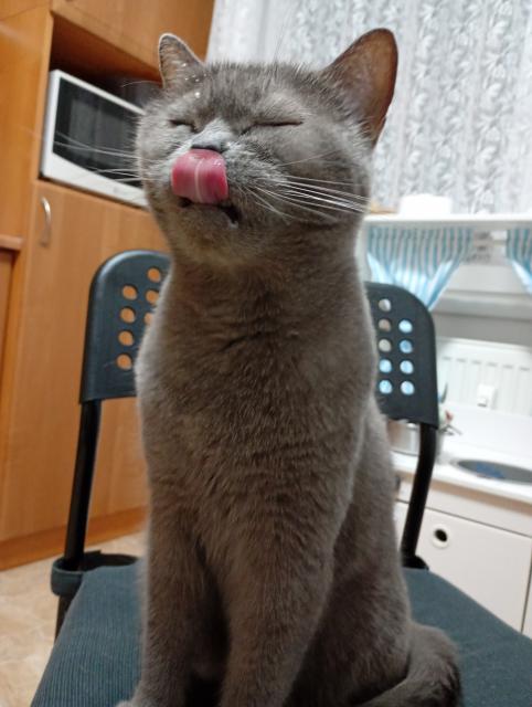 Chach sndla jsem dvounoh jogurt &#128517;