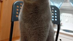 Chach sndla jsem dvounoh jogurt &#128517;