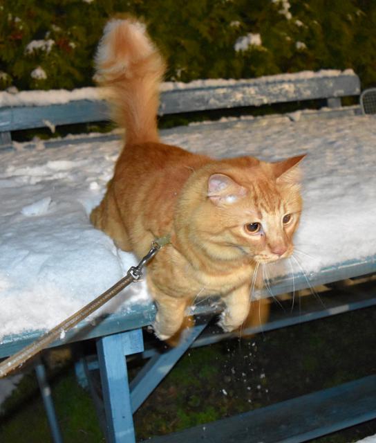 Konen jsem se dokal, mme snh :-)