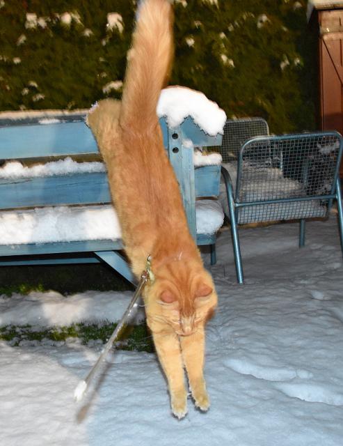 Do snhu se bezva ske.