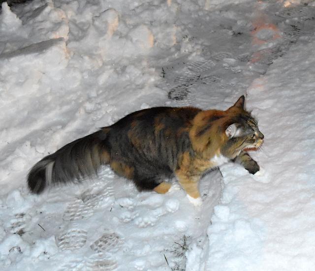 J nejsem takov pods jako Jenda, ale snh si taky uvm.