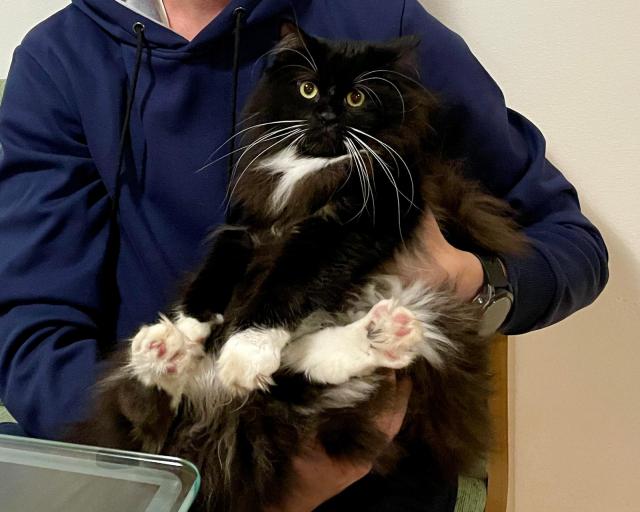 olino, nevi, ty toho nadl! I j jsem byl lapen a koukej jak hezky sedm :-)