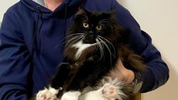 olino, nevi, ty toho nadl! I j jsem byl lapen a koukej jak hezky sedm :-)