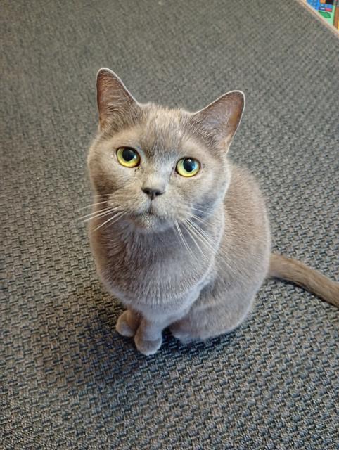 Krsnou adventn nedli pejeme &#127794;