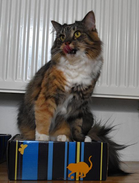 3/3 J, te la Renata do kuchyn a nm tam ust. Okamit pestvm cviit a jdu obhldnout mistiky.