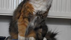 3/3 J, te la Renata do kuchyn a nm tam ust. Okamit pestvm cviit a jdu obhldnout mistiky.