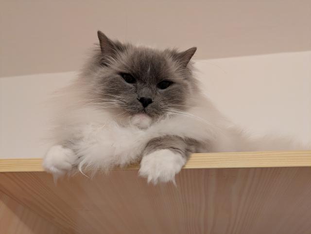 Vechno mm pod kontrolou