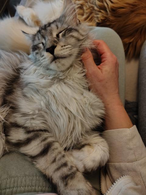 U paniky se sp nejlp &#10084;&#65039;