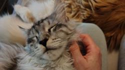 U paničky se spí nejlíp ❤️