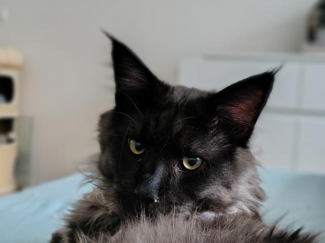 Jsem krasavec a vm to o sob &#128513;