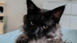 Jsem krasavec a vím to o sobě 😁