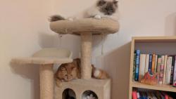 Všichni tři pohromadě