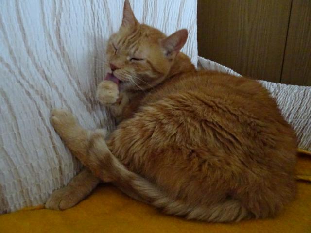 Musm opatrn, abych si nepokrbal jazek.