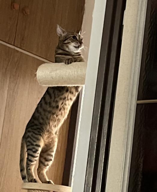 Tr�nuju, chci m�t t�lo sam� sval :-)