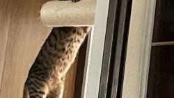 Tr�nuju, chci m�t t�lo sam� sval :-)