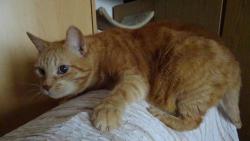 J� kdy� po�iju �antu, tak stra�liv� ��d�m.