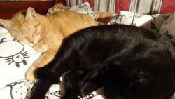 Ale jakmile �anta vyprch�, tak mi, jak se ��k�, spadne �emen a mus�m j�t okam�it� nabrat s�ly do postele. :-