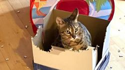 Jsem velká pomocnice při úklidu😹