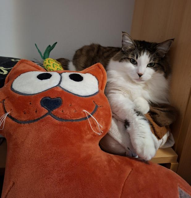 Tak kter� z nas je hez��?