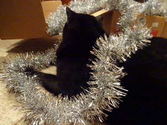 Kr�sn� v�no�n� sv�tky, klid, pohodu a do nov�ho roku hodn� �t�st� a zdrav�  v�em p�eje za Starom�stskou sme�ku Macek.