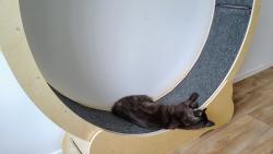 �pln� m� to vy�erpalo...