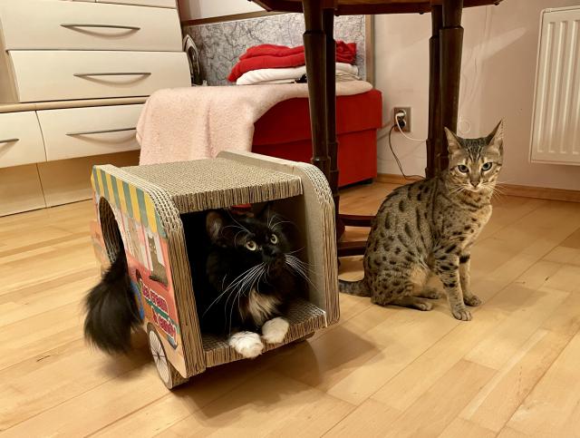 St��d�me se 😉