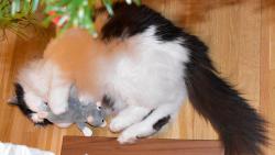 Hm, v tomhle je bezva matro�.