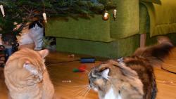 Jendo, my��ka jsem �vihla Kry�p�n�. S tebou se taky d�lit nebudu, koukej tam hodit zp�te�ku.