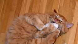 Zuzano, tuhle hra�ku s matro�em si vz�t nenech�m.