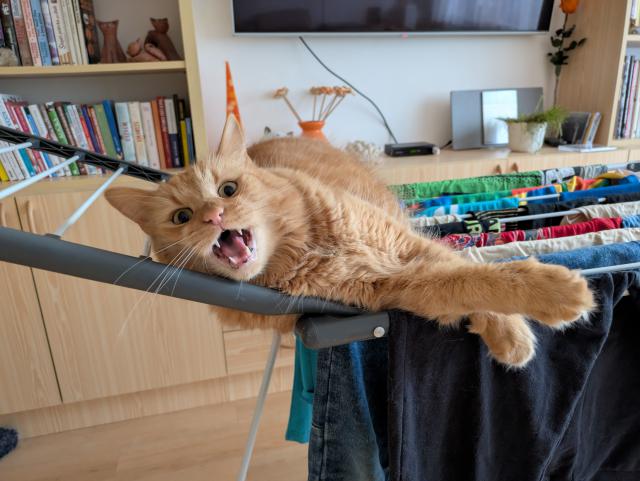 Jestli m� chce� dostat z toho su��ku, tak uvid�...