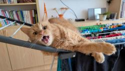 Jestli m� chce� dostat z toho su��ku, tak uvid�...