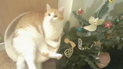 Vesel� v�no�n� dny pro�it� v klidu a pohod� v�m v�em p�ejeme.